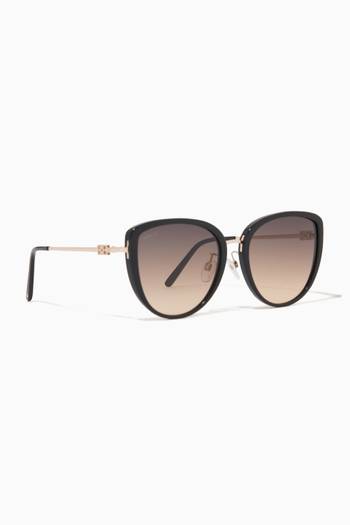 hover state of D-Shape Sunglasses in Acetate  