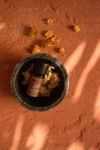 hover state of Omani Frankincense - Wild-harvested Essential Oil, 10ml
