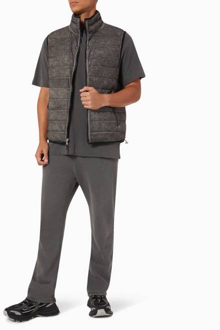 hover state of Chamberlin Down Vest in Padded Nylon