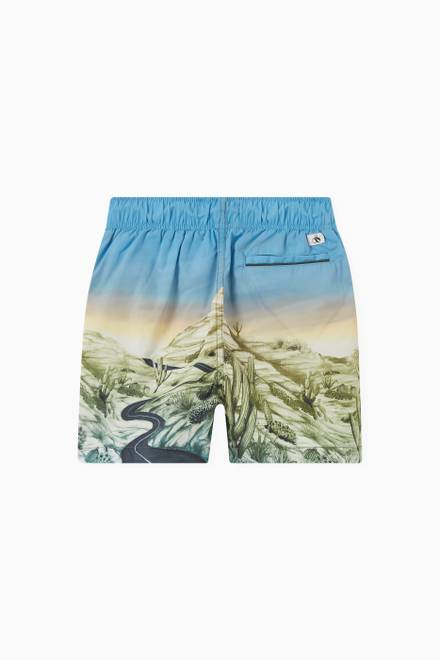 hover state of Graphic Print Swim Shorts 